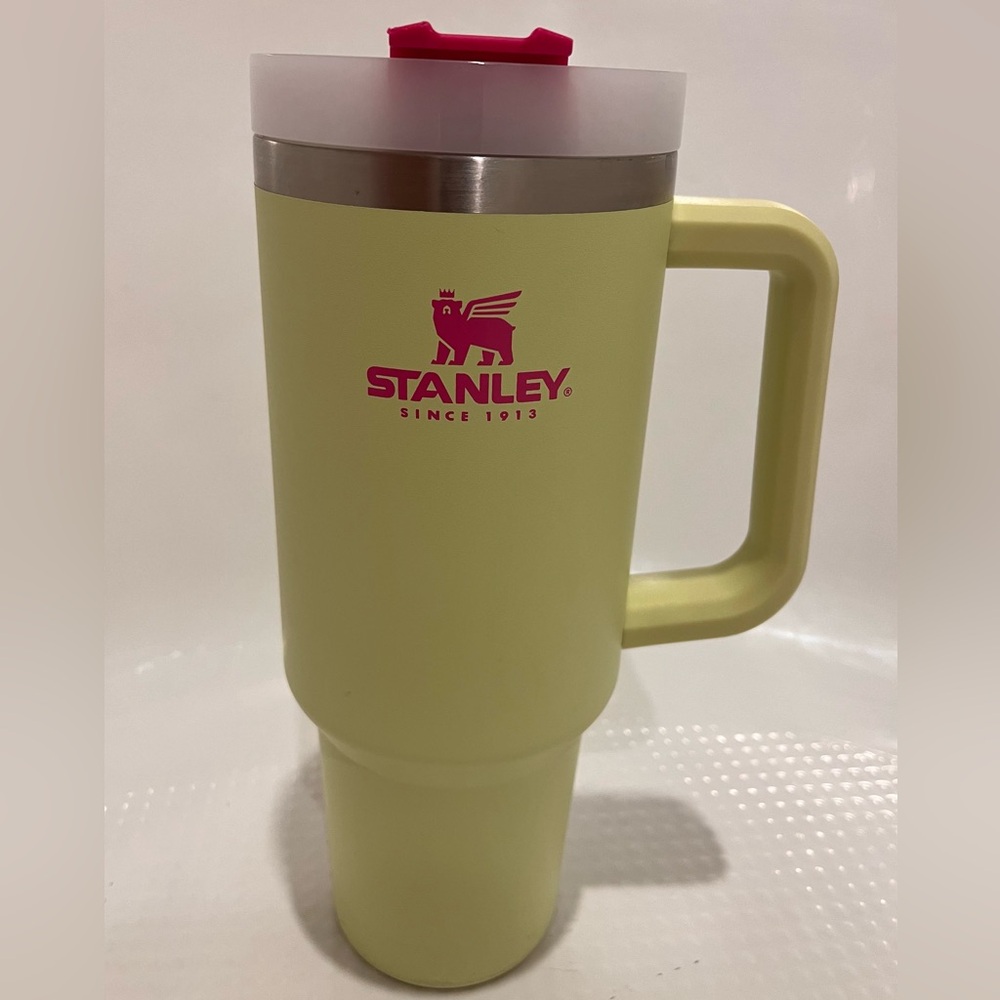 Citron and Hot Pink 40 oz Stanley Tumbler